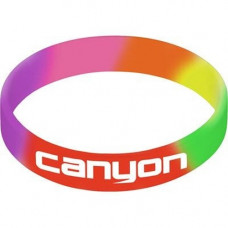 Rainbow Silicon Wristband Rainbow Silicon Wristband